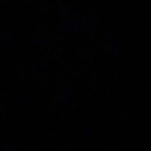 Meet your Posher, Gavin